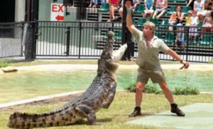 10 Interesting Facts about Steve Irwin