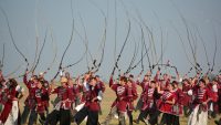 10 Interesting Facts about Whips