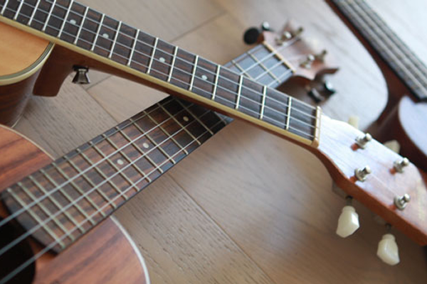 Facts About Ukulele