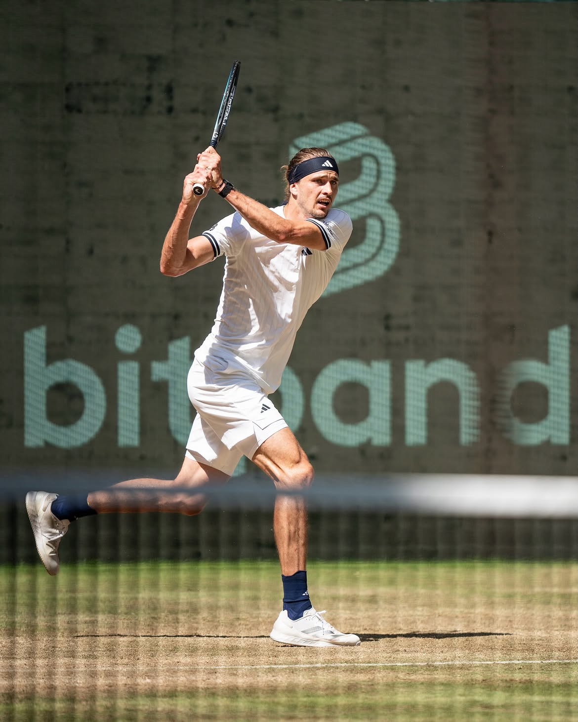 Sasha Zverev facts